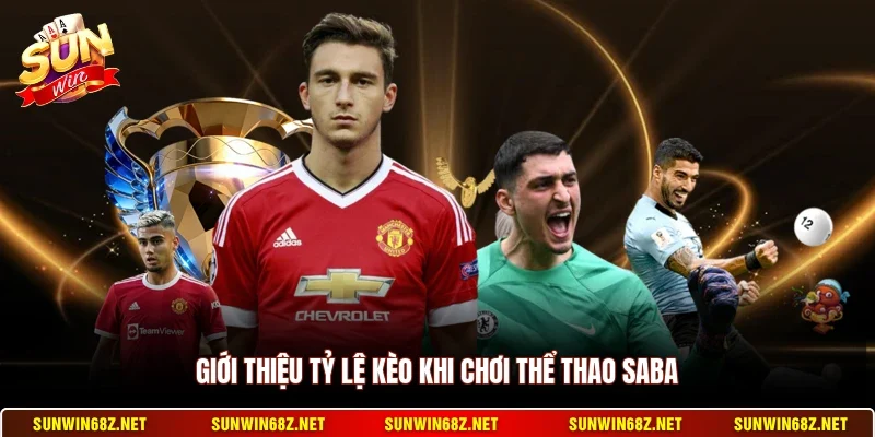 Giới thiệu tỷ lệ kèo khi chơi thể thao Saba