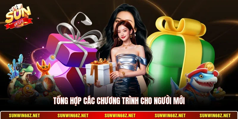 Tổng hợp các chương trình cho người mới